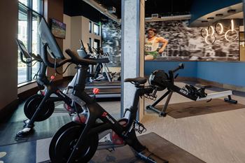 Peloton bikes